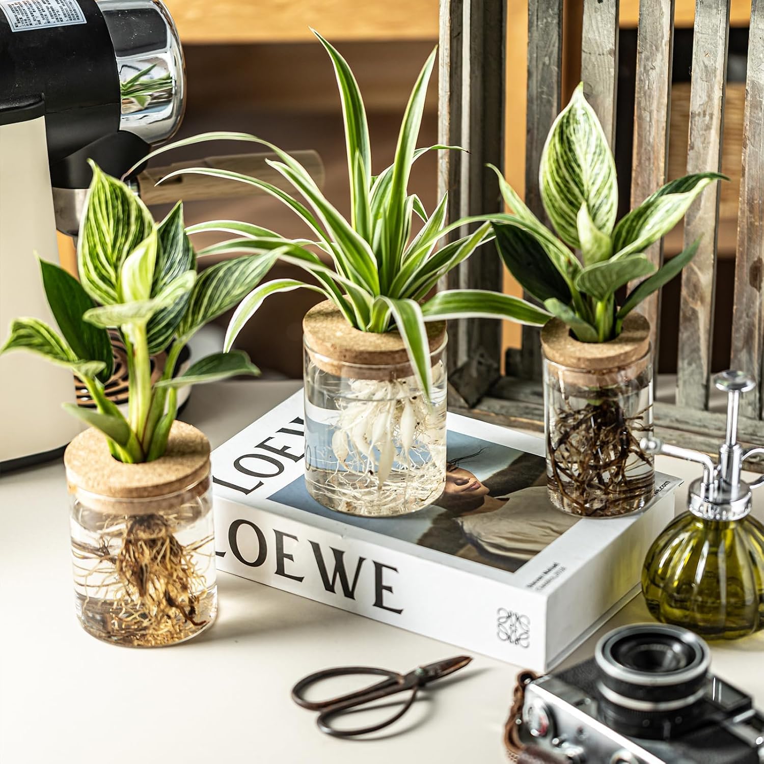 Glass Propagation Station — Rooting Vases with Wooden Stand