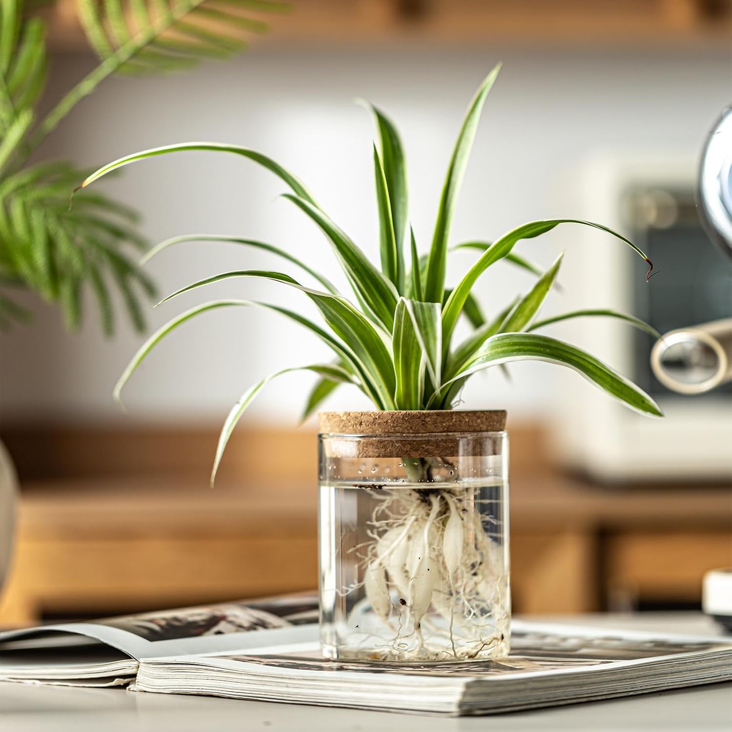Glass Propagation Station — Rooting Vases with Wooden Stand